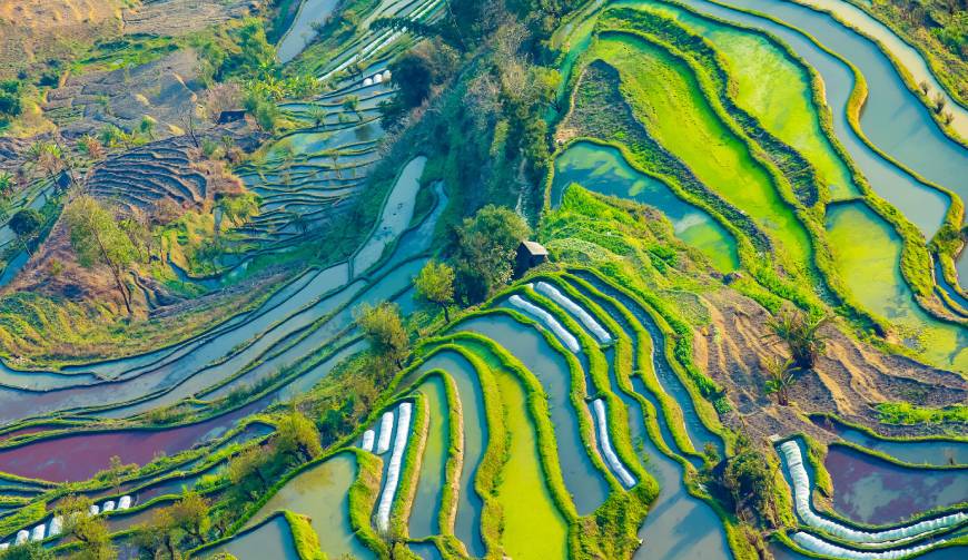 宝妈必备神器：炎陵县产品视频拍摄轻松育儿好帮手