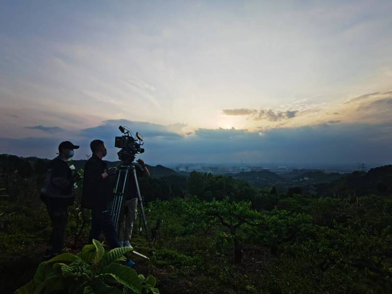 聚焦炎陵县产品宣传视频拍摄公司，用专业实力铸就品牌传播传奇