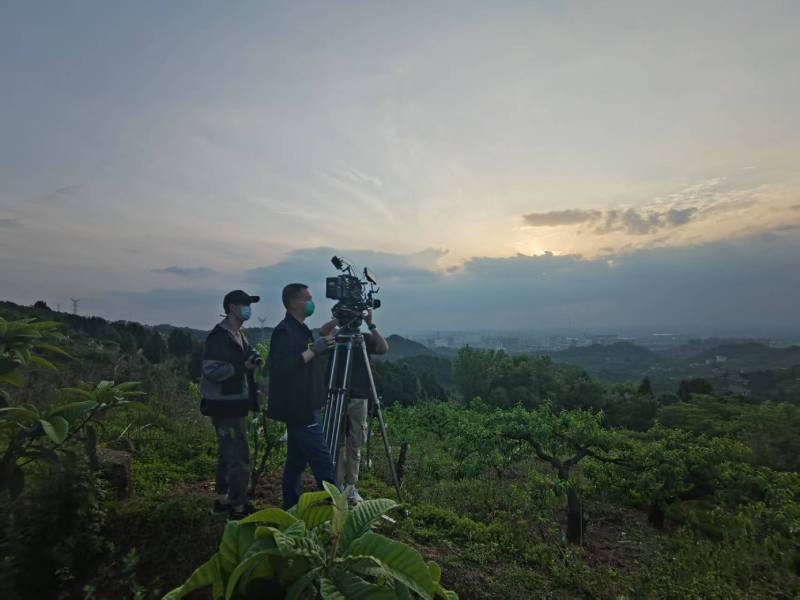 创意破圈！炎陵县电商产品宣传视频用故事化叙事引爆流量