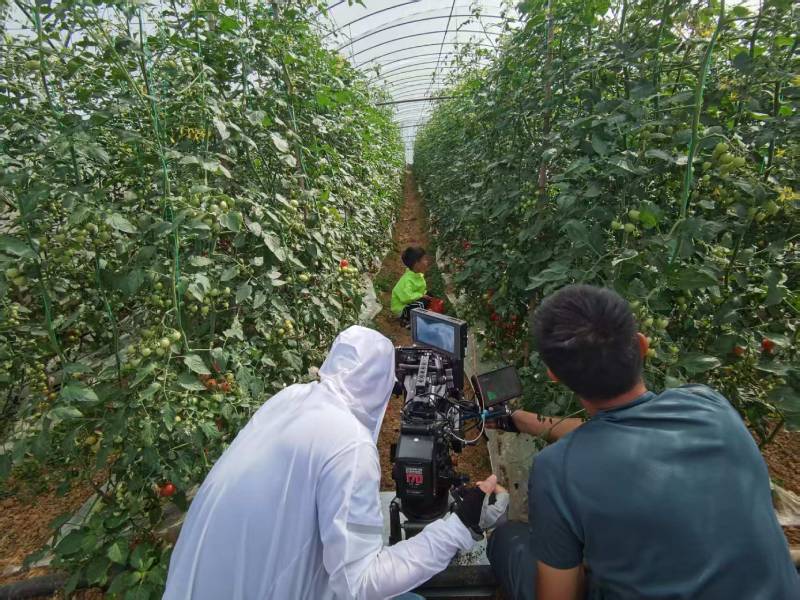 炎陵县产品宣传视频拍摄公司进阶指南，助力品牌抢占传播高地